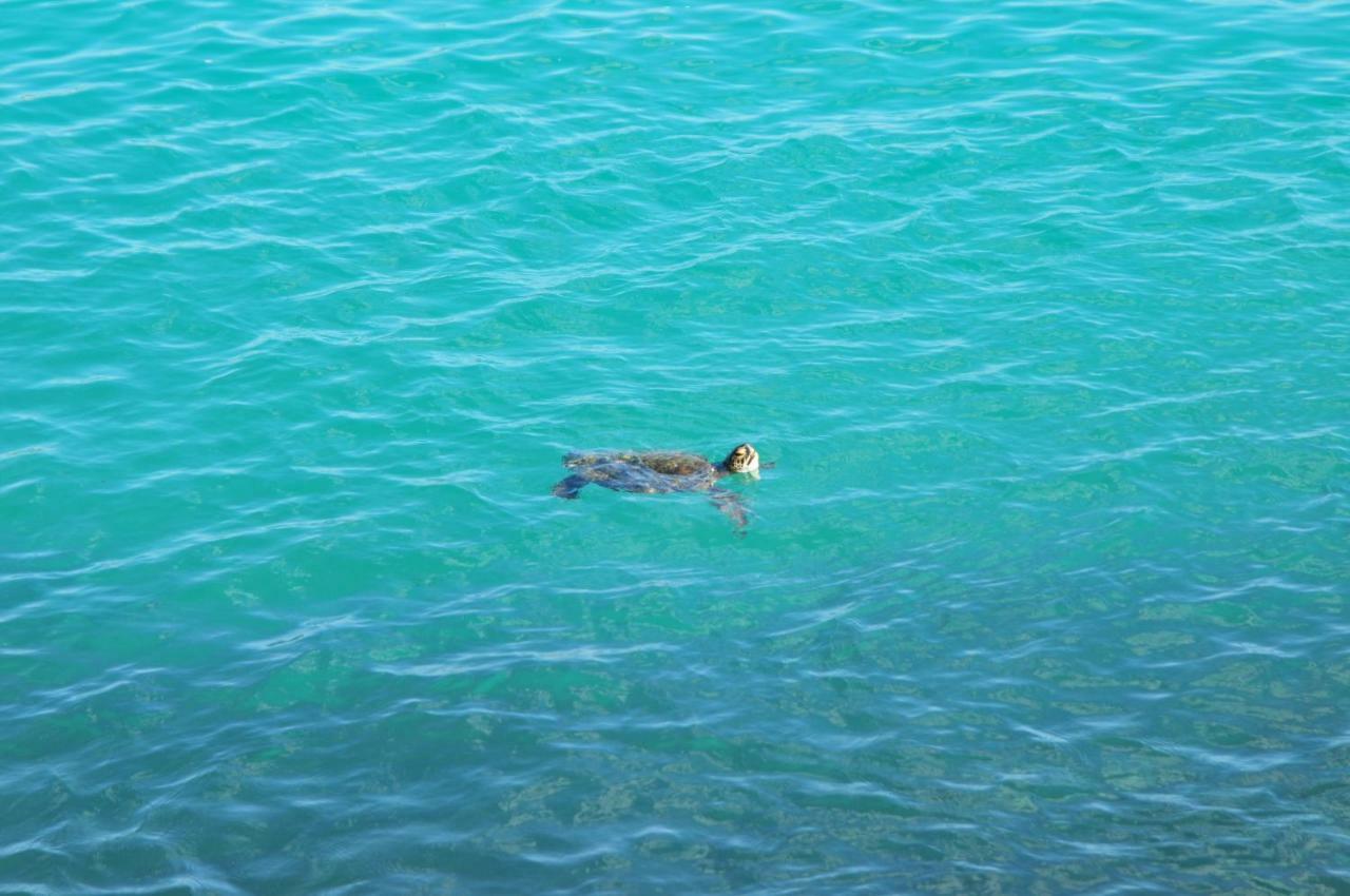Canto Da Arvore 1 Arraial do Cabo Exterior photo